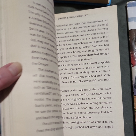 Minecraft Book Collection - Picture 13 of 16